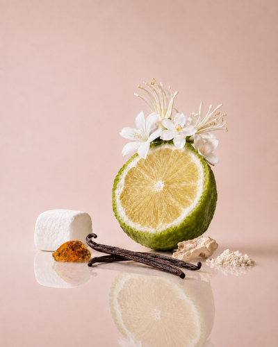 Sugared Bloom