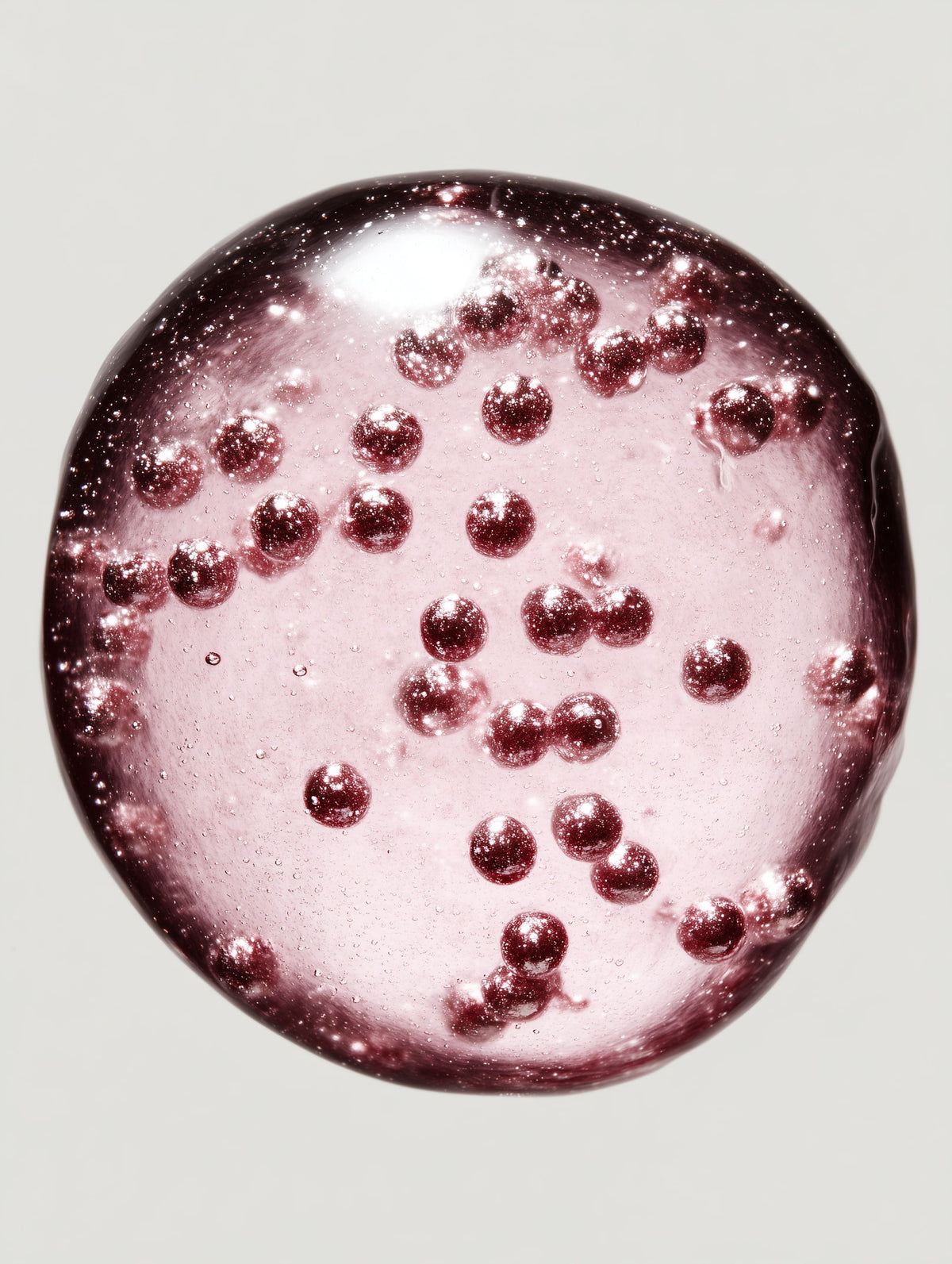 Red Algae