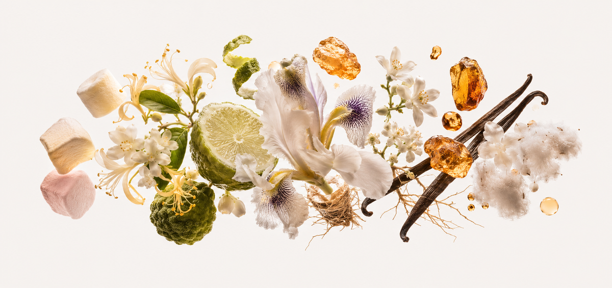Scent Notes